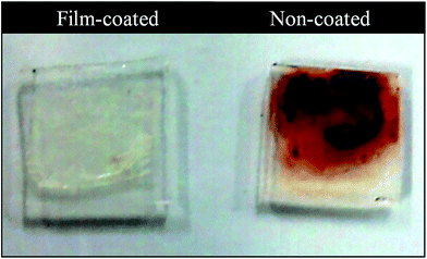 image file: c5ra01853f-f10.tif