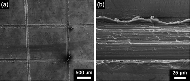 image file: c5ra01969a-f5.tif