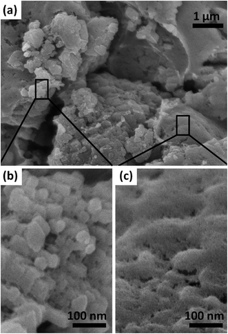 image file: c5ra02091c-f1.tif