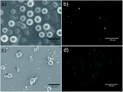 image file: c5ra02162f-f2.tif