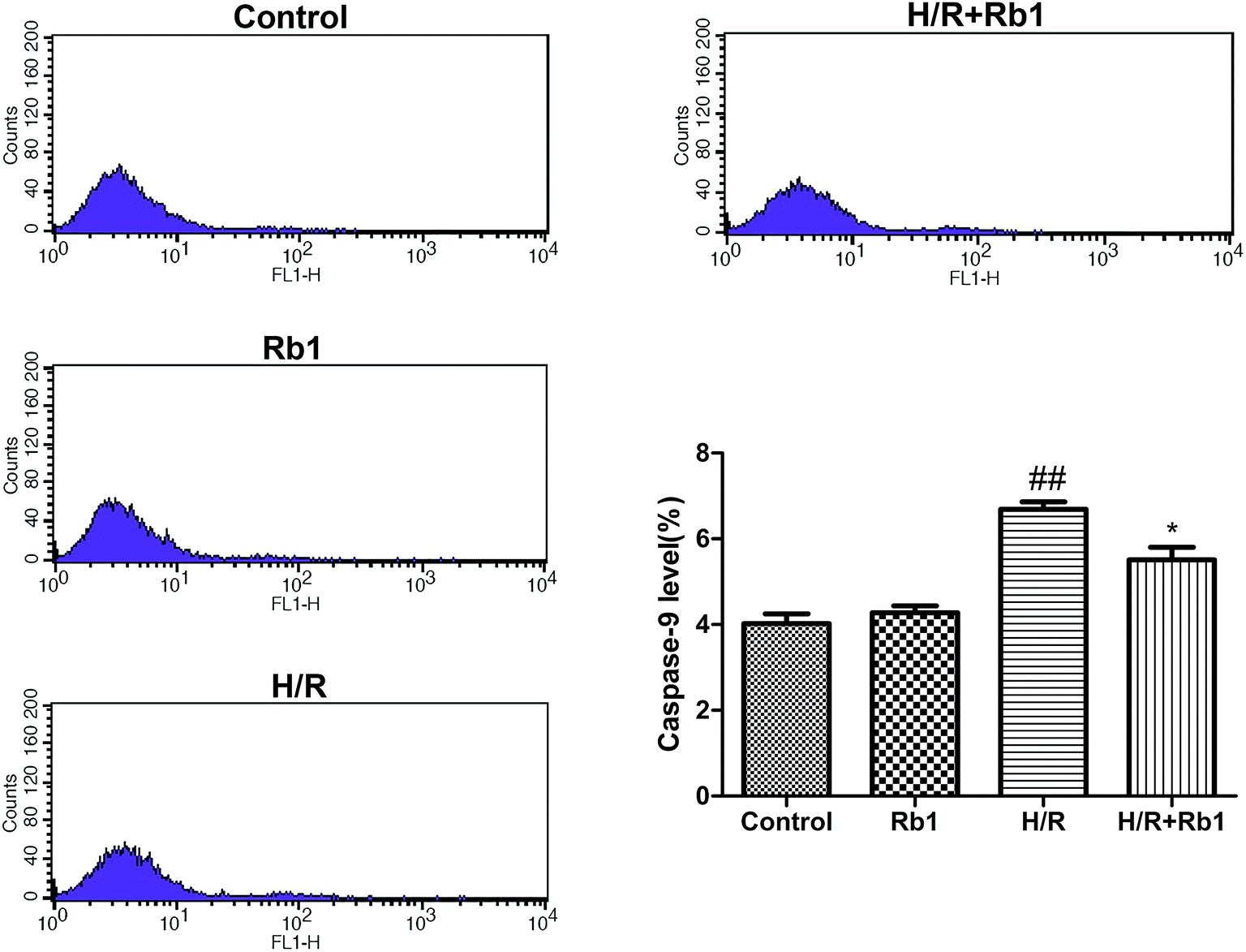 Ginsenoside Rb1 prevents hypoxia-reoxygenation-induced