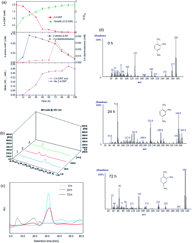 image file: c5ra02450a-f6.tif