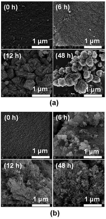 image file: c5ra02493e-f7.tif