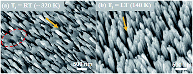 image file: c5ra03225c-f1.tif