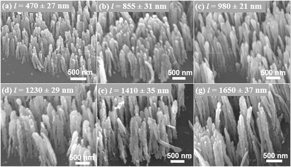 image file: c5ra03225c-f3.tif