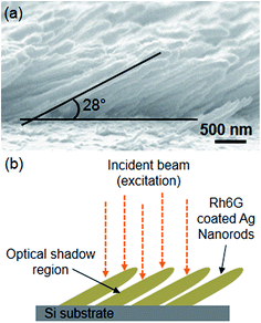 image file: c5ra03225c-f5.tif