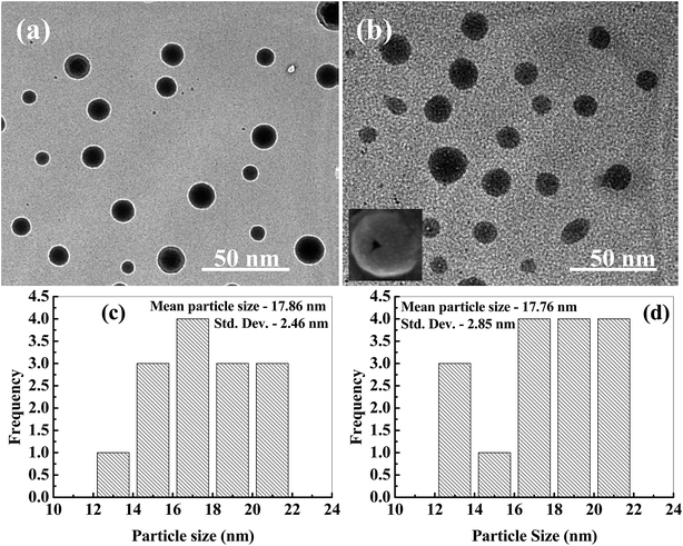 image file: c5ra03421c-f3.tif