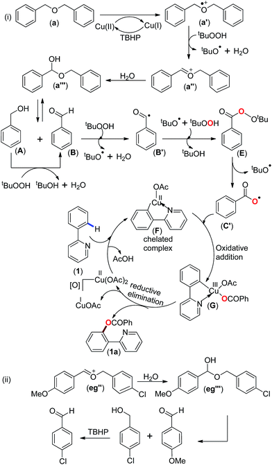 image file: c5ra03462k-s5.tif