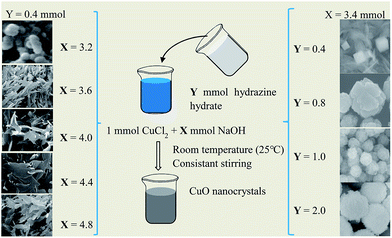 image file: c5ra03497c-f1.tif