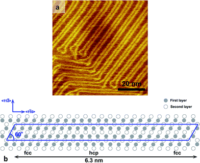 image file: c5ra03577e-f2.tif