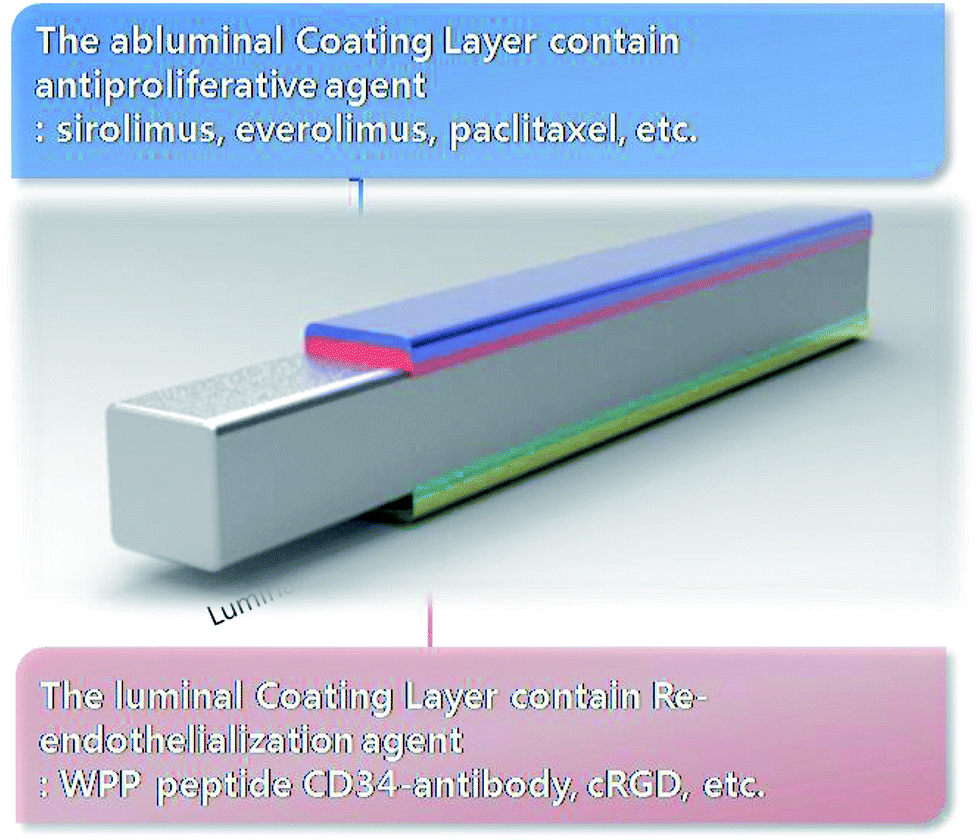 Development of a novel drug-eluting stent consisting of an abluminal and  luminal coating layer dual therapy system - RSC Advances (RSC Publishing)  DOI:10.1039/C5RA04270D