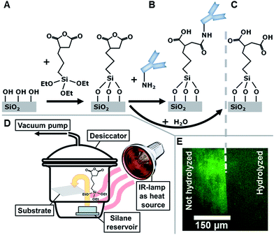 image file: c5ra04469c-f1.tif