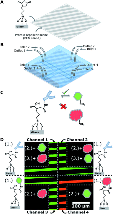 image file: c5ra04469c-f2.tif