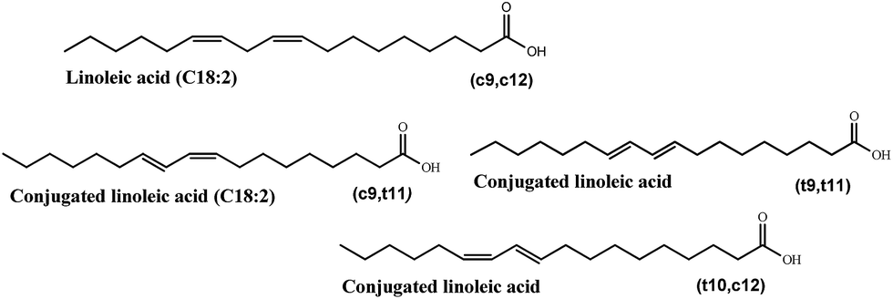 Double bond isomerization of ethyl linoleate and vegetable oils to ...