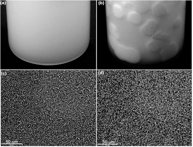 image file: c5ra05045f-f1.tif