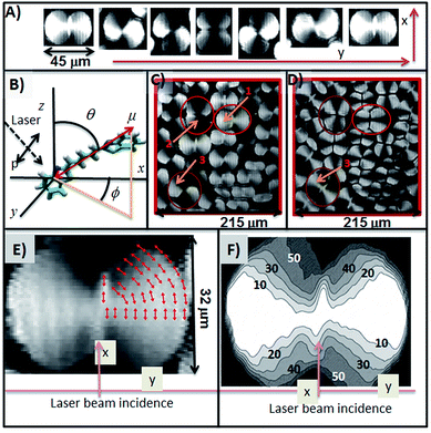 image file: c5ra05192d-s1.tif