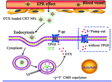image file: c5ra05586e-s1.tif