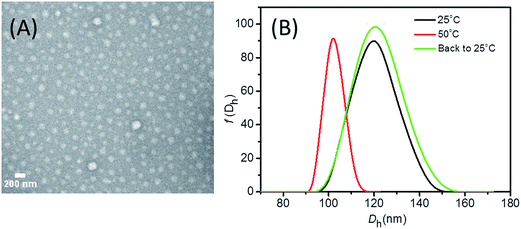 image file: c5ra06021d-f1.tif