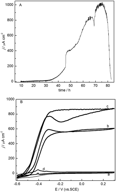 image file: c5ra06211j-f2.tif