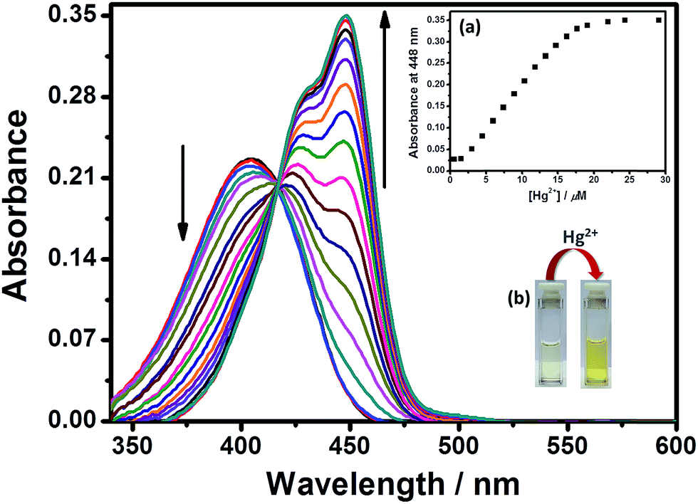 A Colorimetric And Turn On Fluorescent Chemosensor For Selective Detection Of Hg