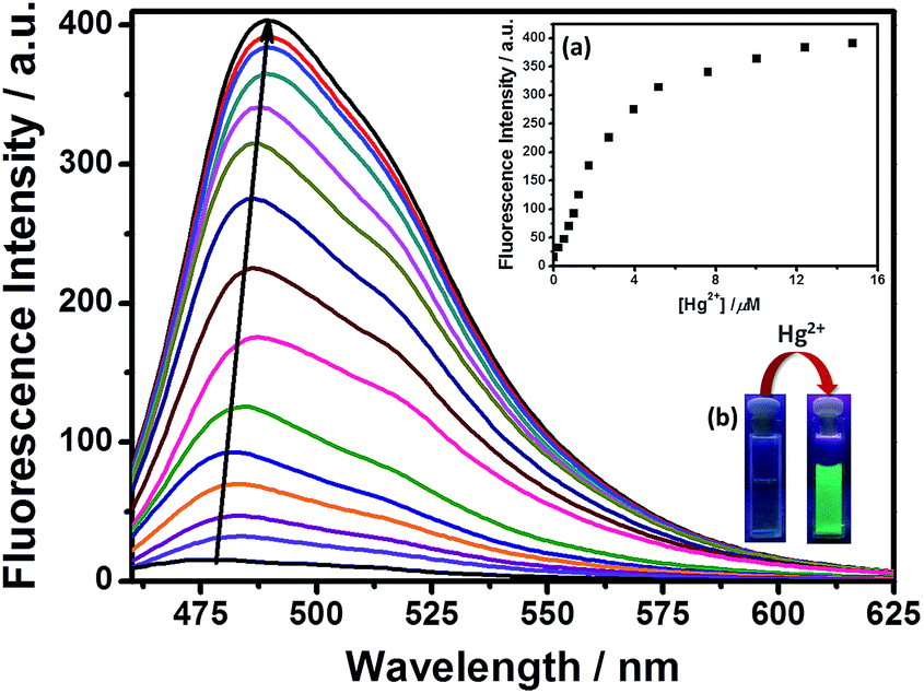 A Colorimetric And Turn On Fluorescent Chemosensor For Selective Detection Of Hg