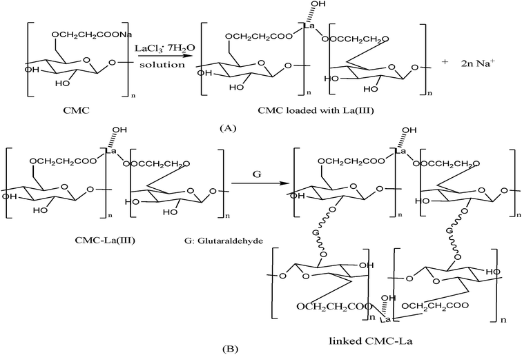 DES-1D12 Reliable Braindumps Ppt