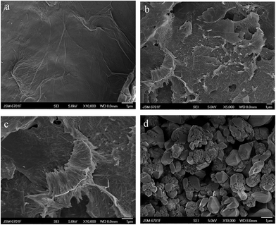 image file: c5ra07068f-f2.tif