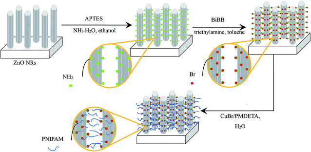 image file: c5ra07301d-s1.tif