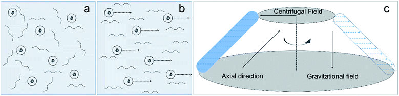 image file: c5ra07929b-s1.tif