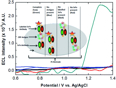 image file: c5ra08450d-f2.tif
