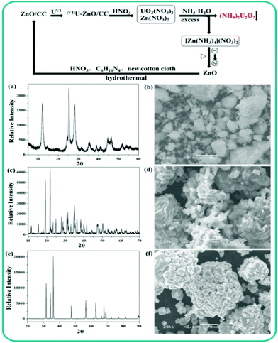 image file: c5ra08489j-s2.tif