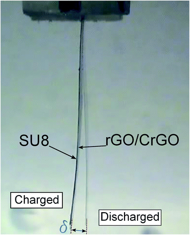 image file: c5ra09743f-f4.tif