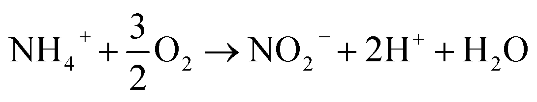 nitrification equation