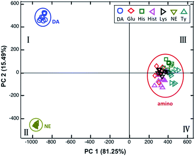 image file: c5ra10321e-f7.tif