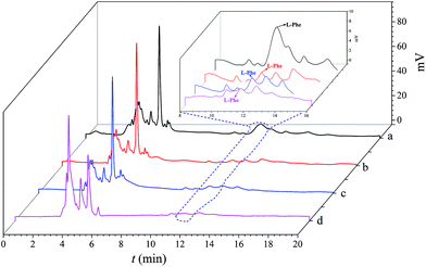 image file: c5ra10455f-f6.tif