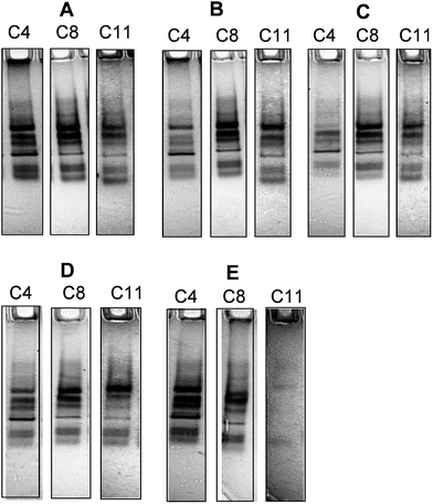 image file: c5ra11559k-f3.tif