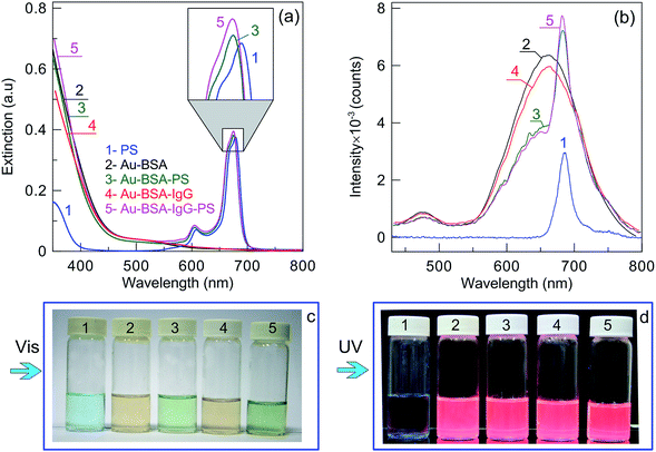 image file: c5ra11713e-f3.tif