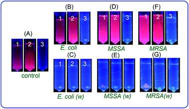 image file: c5ra11713e-f5.tif