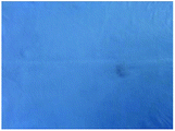 image file: c5ra11740b-u1.tif
