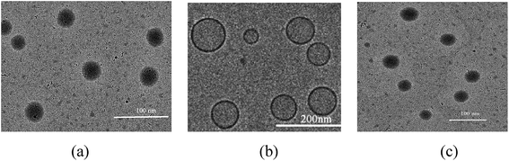 image file: c5ra12010a-f3.tif