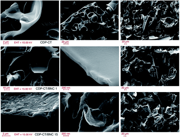 image file: c5ra12423a-f3.tif