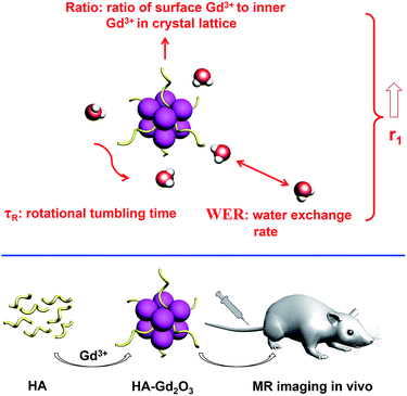 image file: c5ra12704a-s1.tif