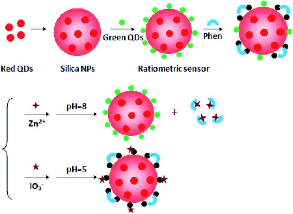 A naked-eye pH-modulated ratiometric photoluminescence