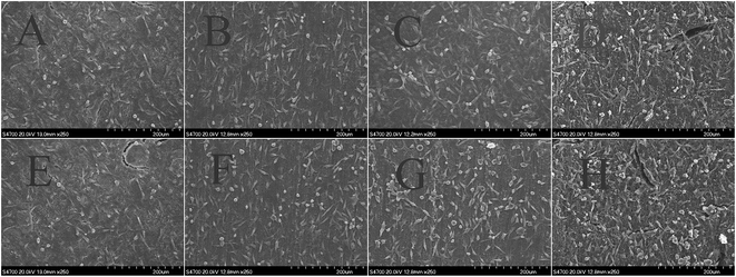 image file: c5ra14549j-f7.tif