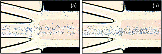 image file: c5ra14854e-f6.tif