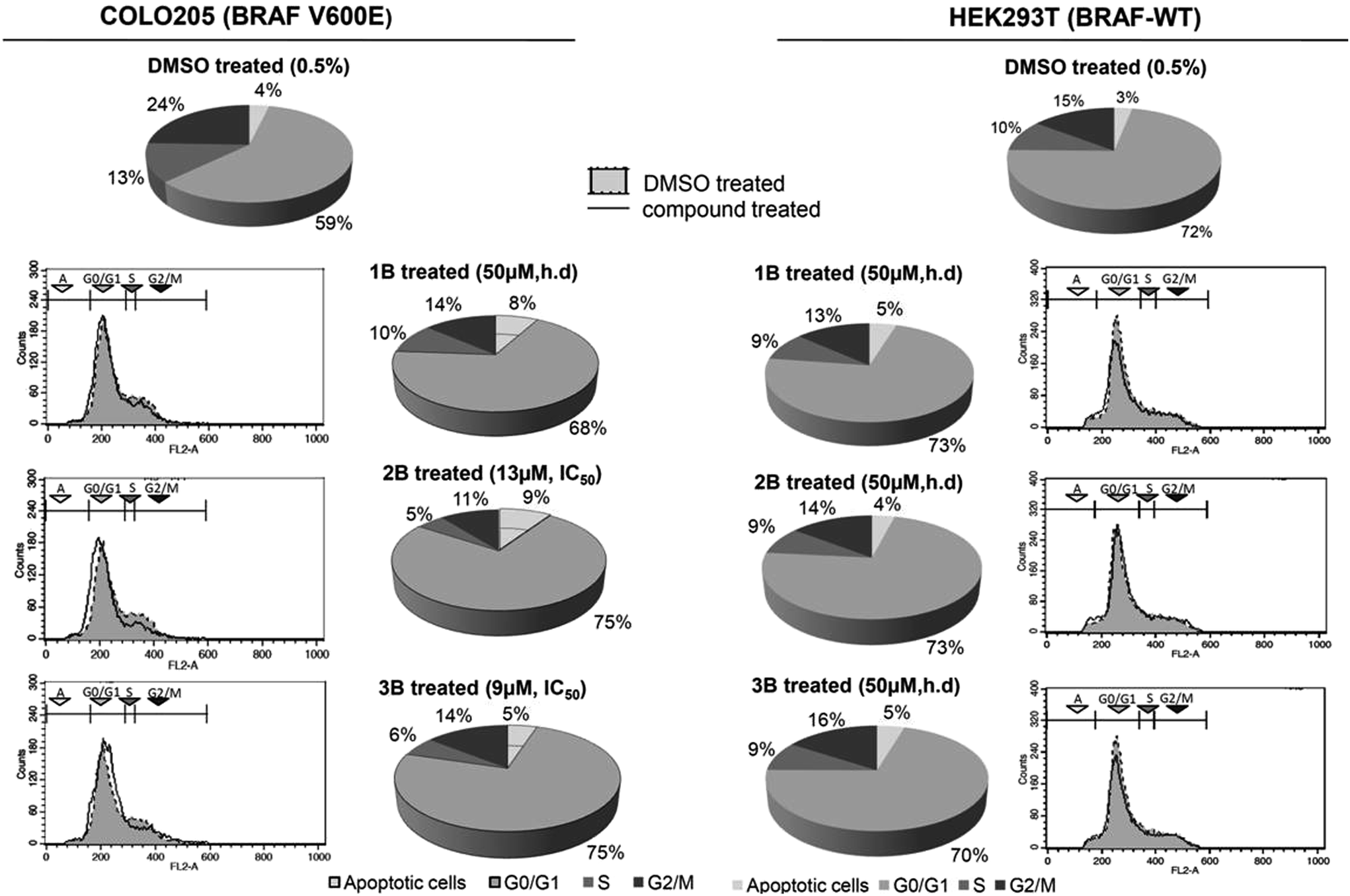 Targeting a chemorefractory COLO205 (BRAF V600E) cell line using 