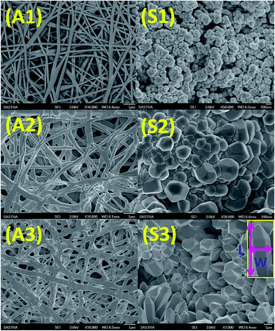 image file: c5ra15697a-f1.tif