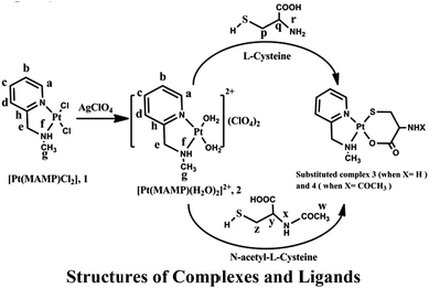 image file: c5ra15740d-u2.tif