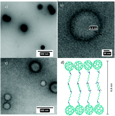 image file: c5ra16309a-f7.tif