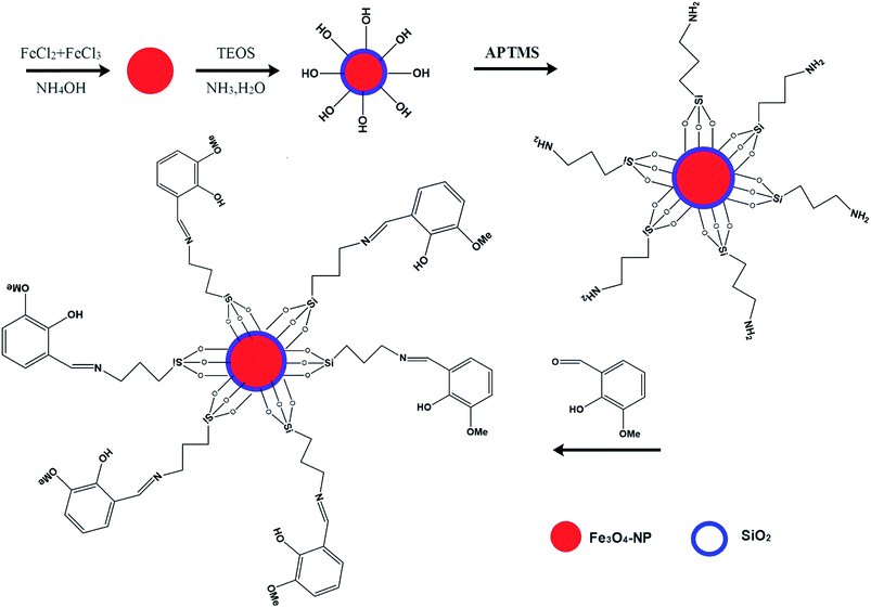image file: c5ra16572e-f1.tif